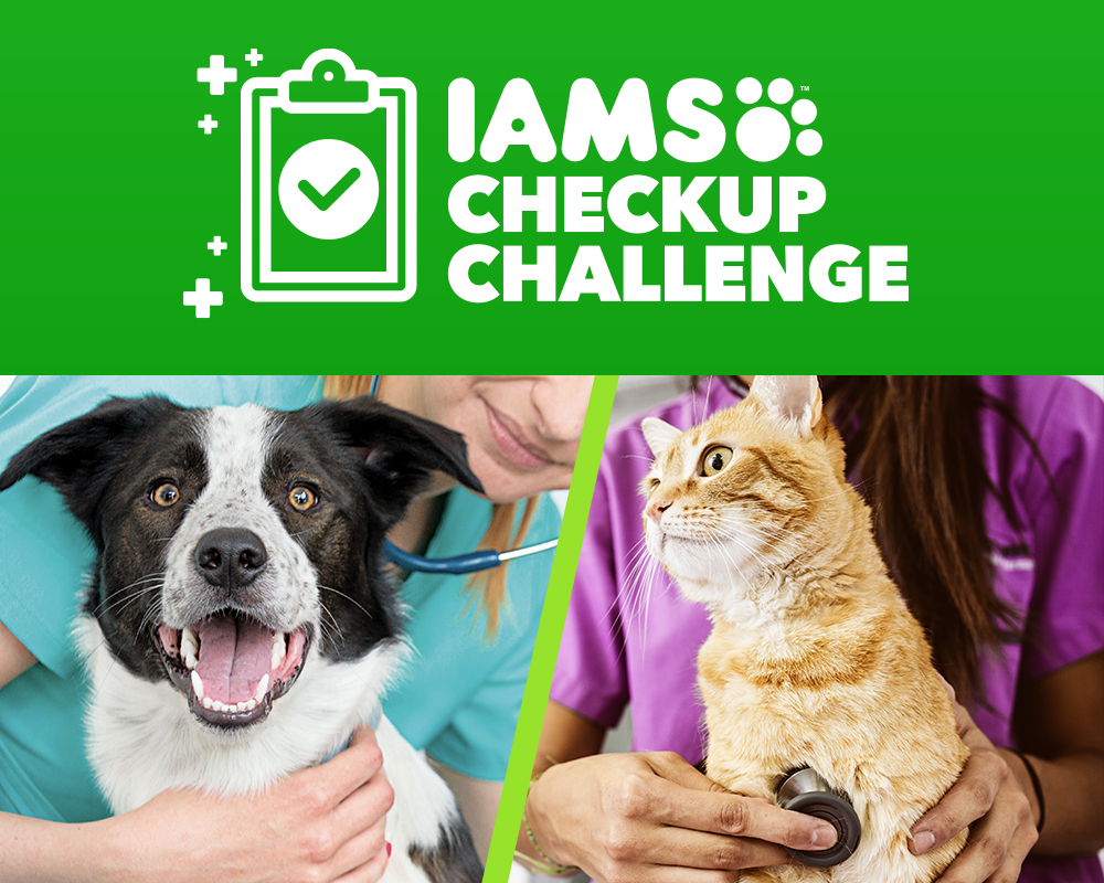 IAMS Checkup Challenge